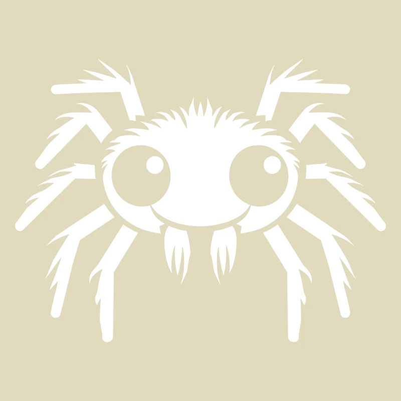 Spinne
