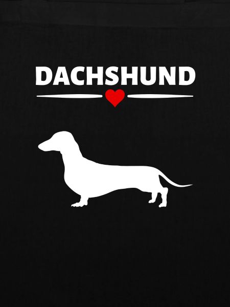 Dachshund