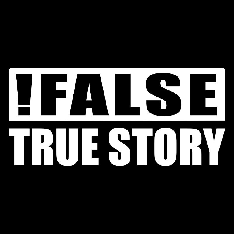False True Story Informatiker Nerd ITler Geschenk