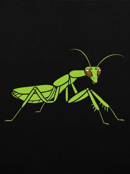 Praying mantis