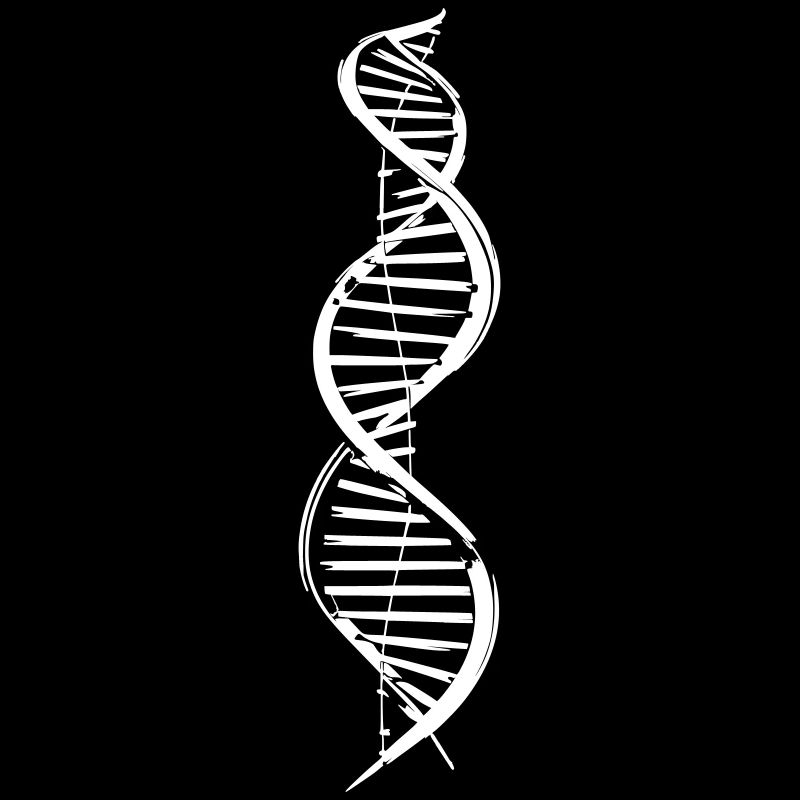 ADN