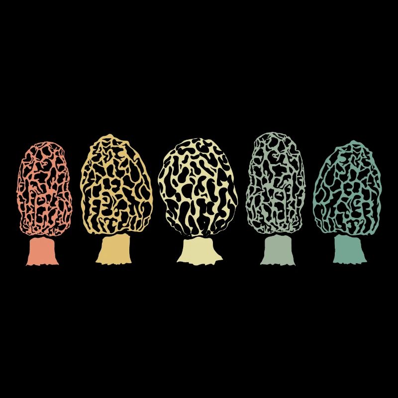 Morel Mushroom