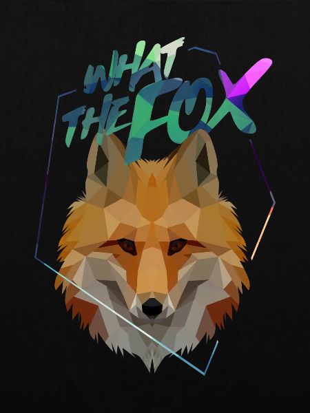 Fuchs What the Fox Geometrisch