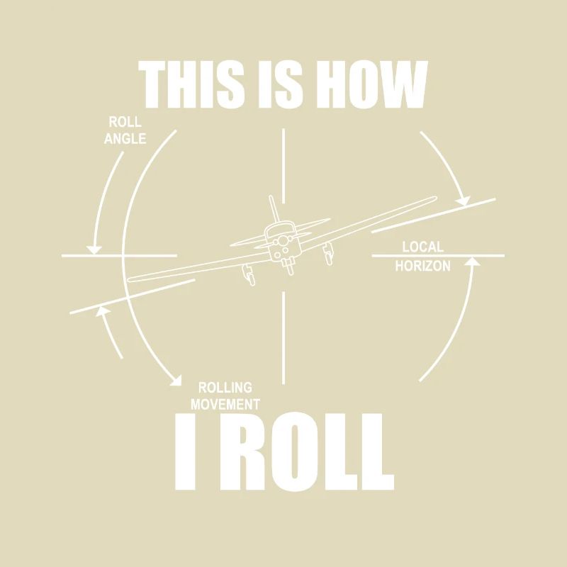 This is how I roll M20J Airplane Rolling Track Pilot