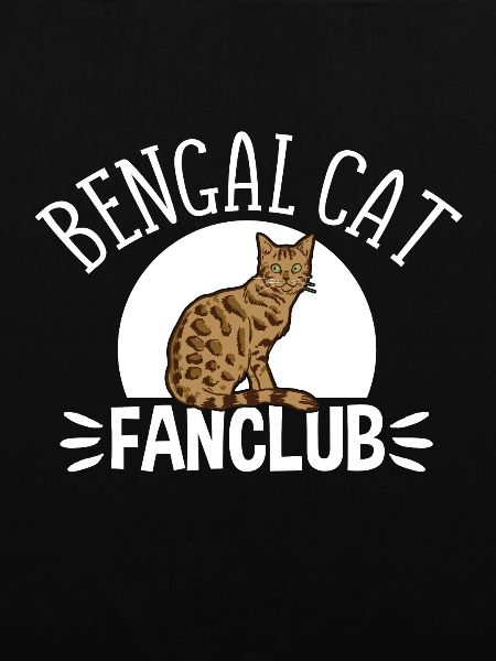 Bengal cat