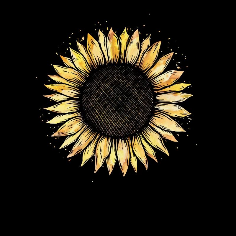Sonnenblume
