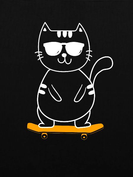 Skateboard Skateboarder Skater