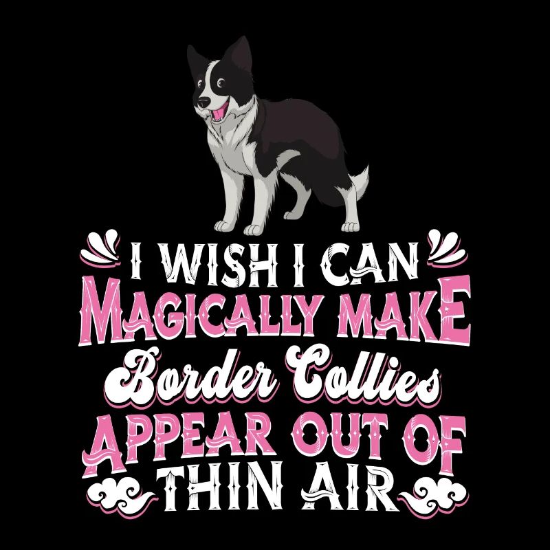 Border Collie Hund