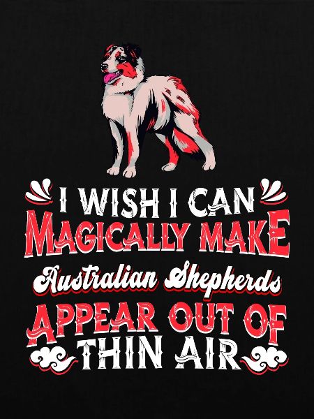 Australian Shepherd Hund