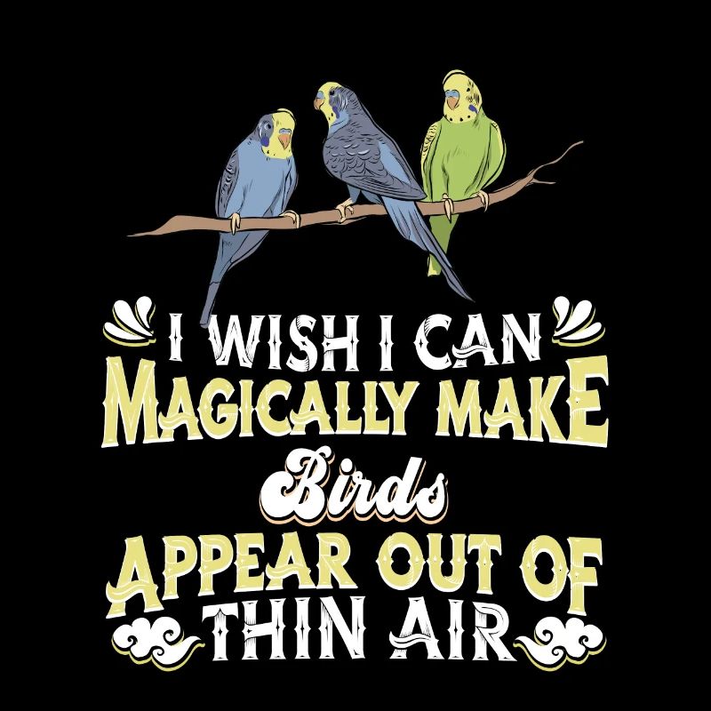 Oiseaux Oiseaux