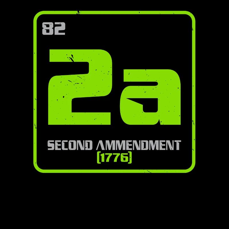Second Amendment Gun Rights 2nd Amendment America