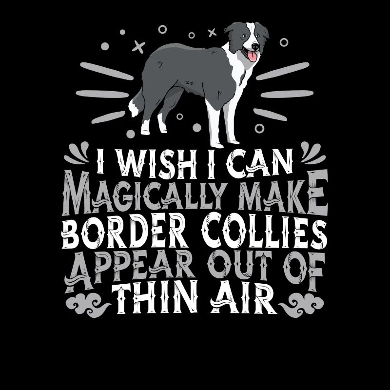 Border Collie Hund