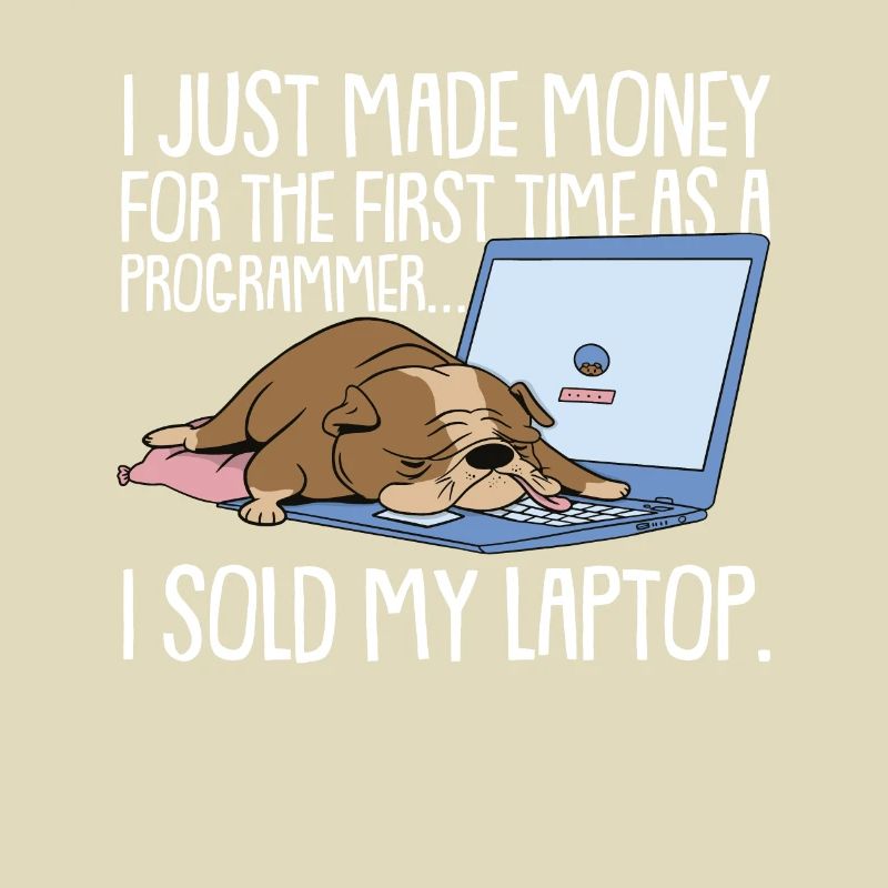 Programmer Coder Software Developer