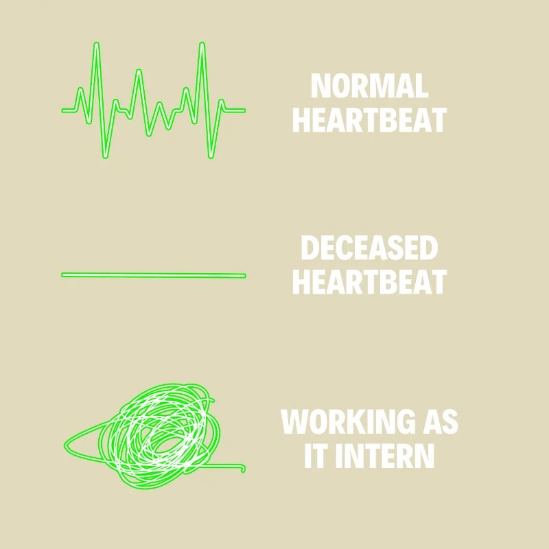 IT Intern Worker IT Computer