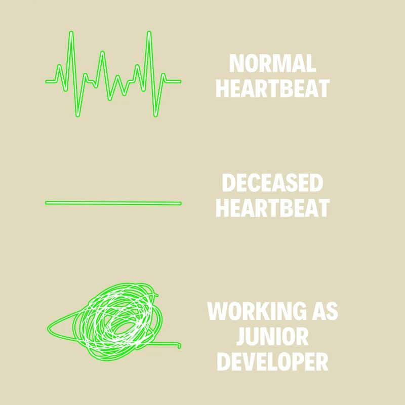 Junior Developer Professional Worker