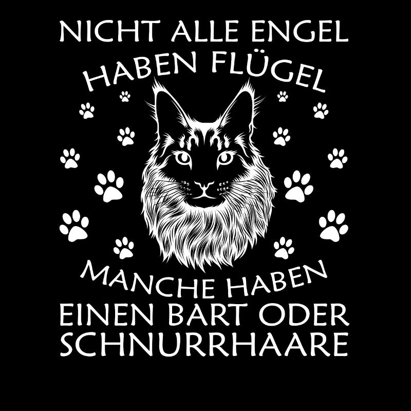 Katze Pfoten Katzenpapa