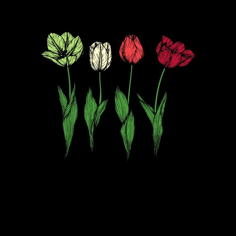 Tulips Tulips