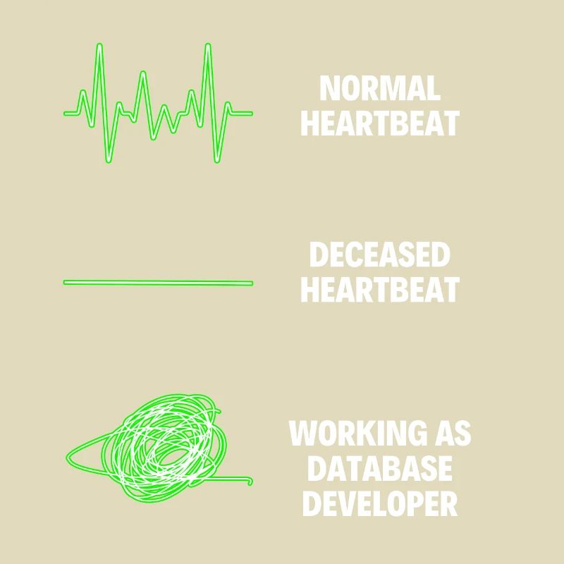 Database Developer Web Developer Technology Field