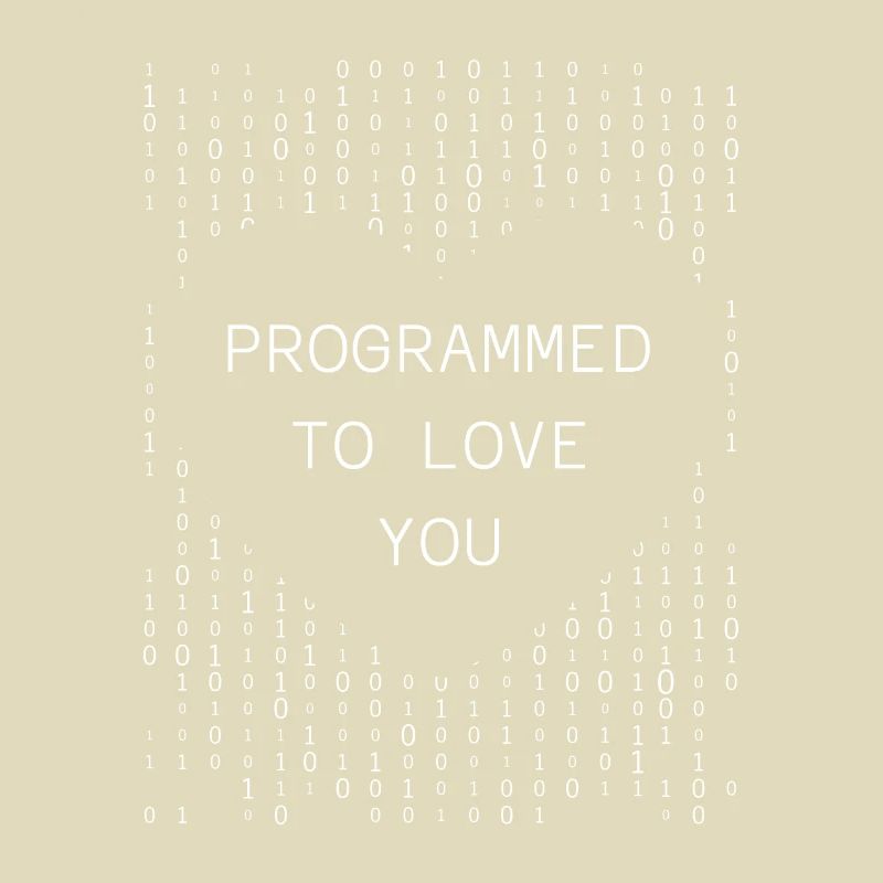 Programmeur Codeur développeur