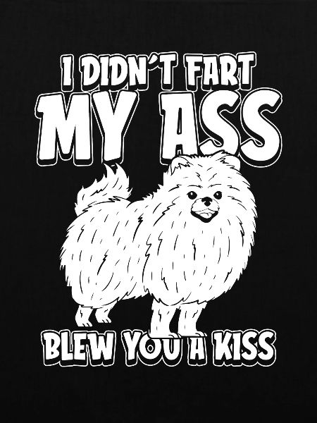 Pomeranian Witzig