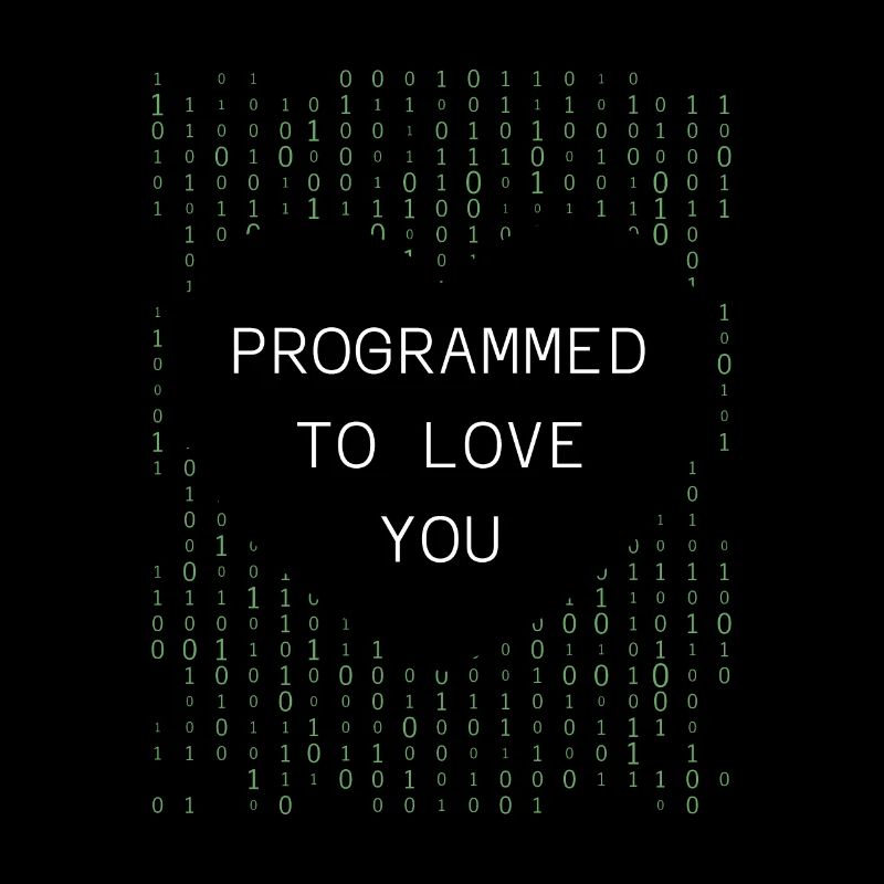 Sviluppatore programmatore programmatore
