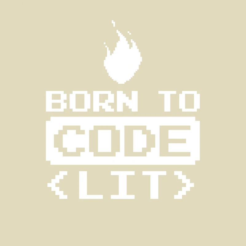 Developer Coder Programmer Funny