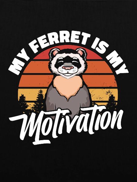 Frettchen Iltis Motivation