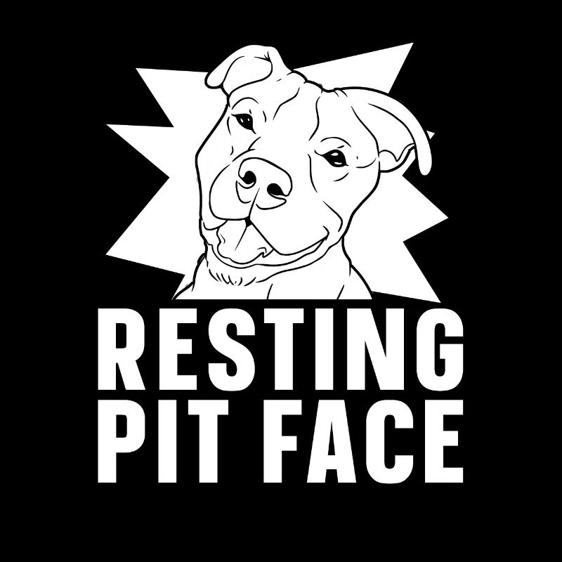 Pitbull Pitbull Verbot Resting Pit Face