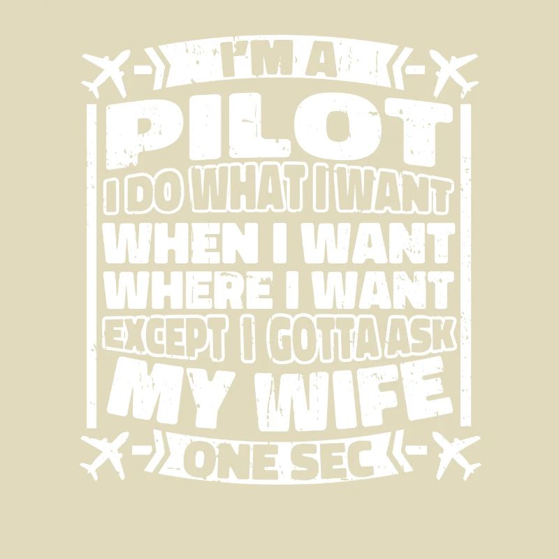 Airplane Pilot