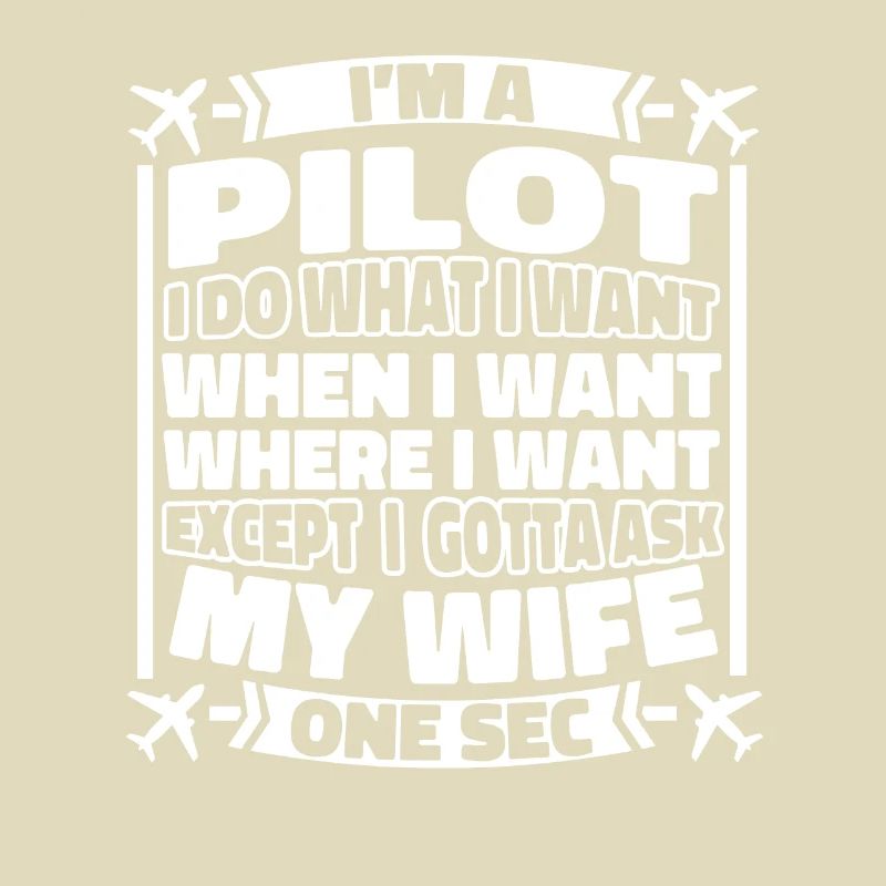 Airplane Pilot
