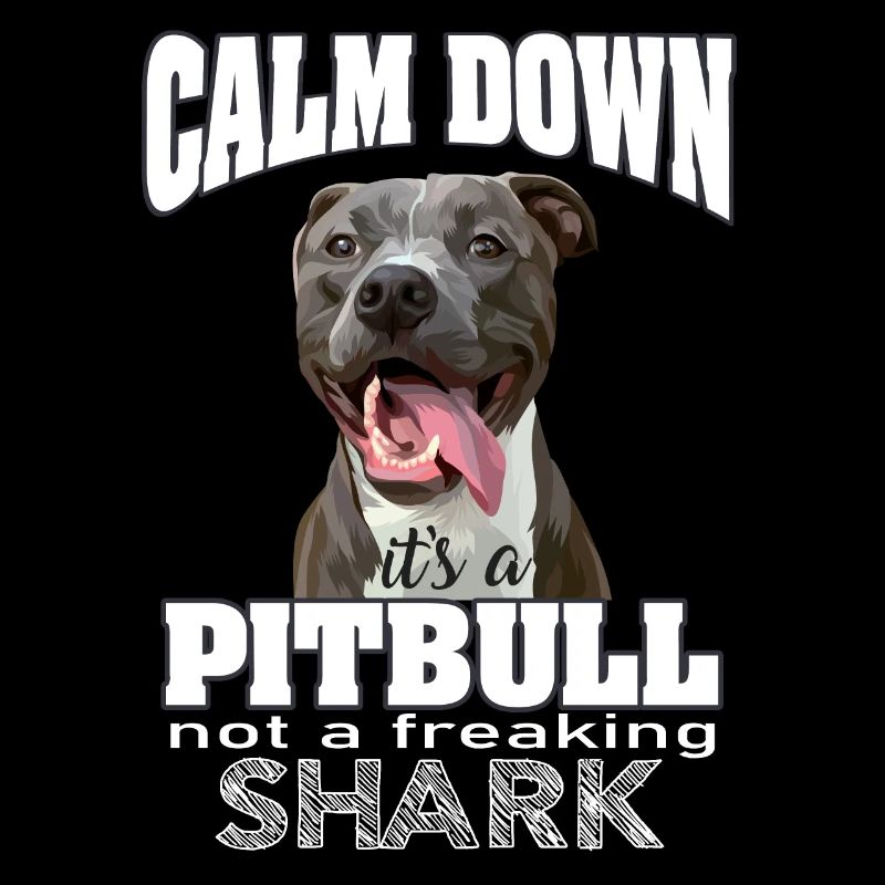 pitbull not a shark