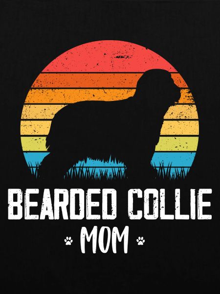 Bearded Collie