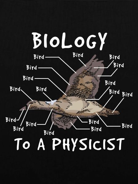 Physik Experte