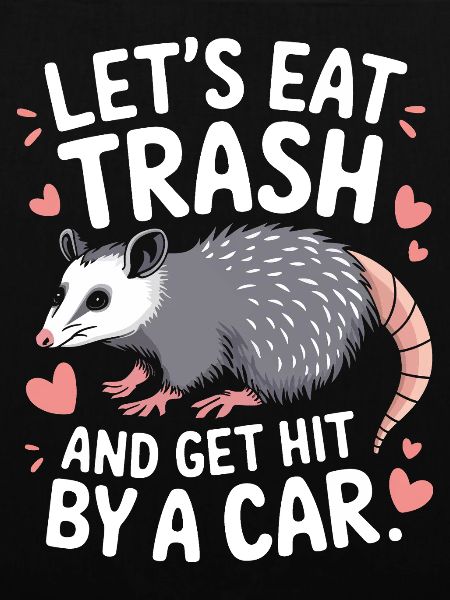 Opossum Possum Animal
