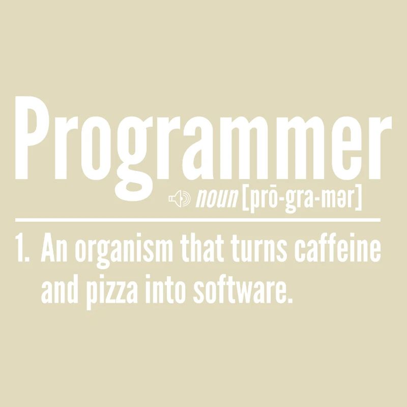 Programmer