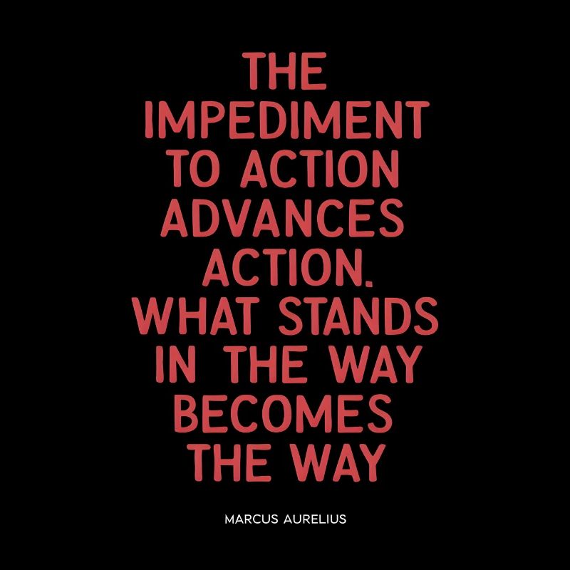 Marcus Aurelius quote the impediment to action