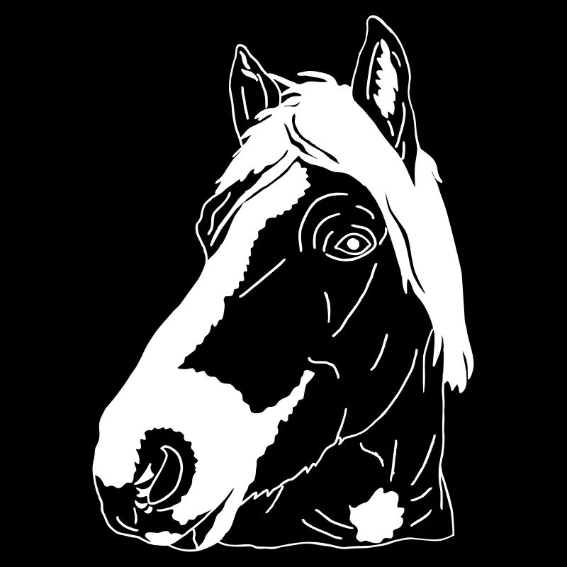 Haflinger