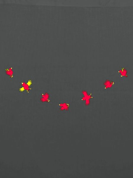 Birdies