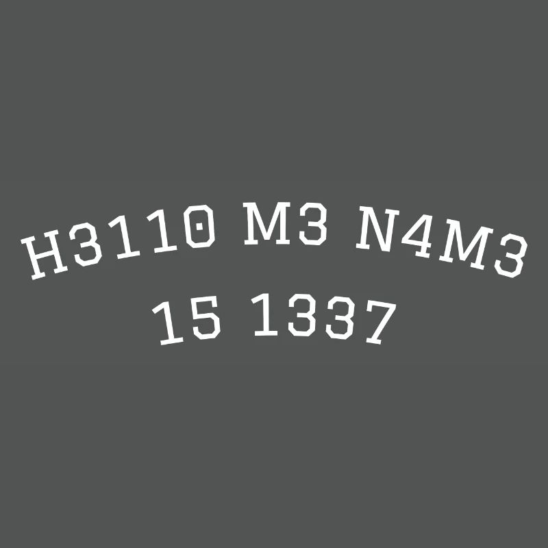 leetspeak leet mon nom est hello code gamer 1337
