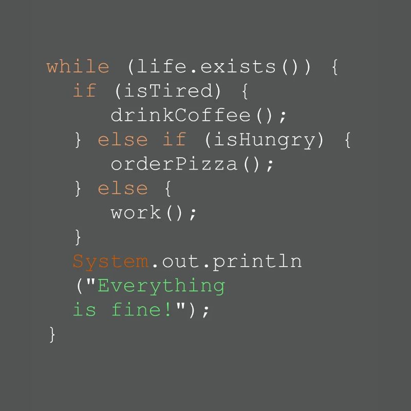 Programmation, programmeur et code de programme