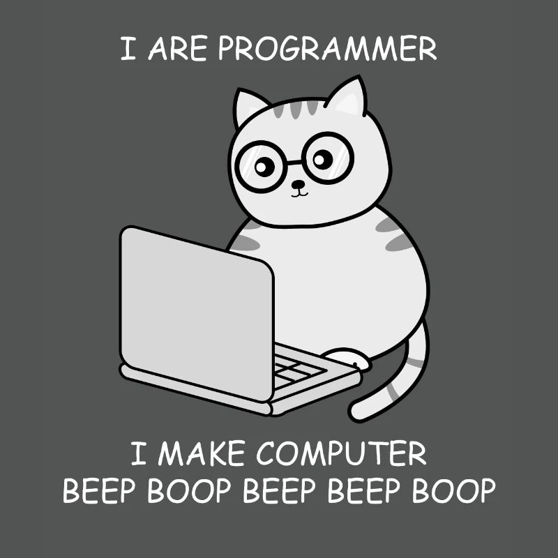 Informatiker Informatik Programmieren Ingenieur