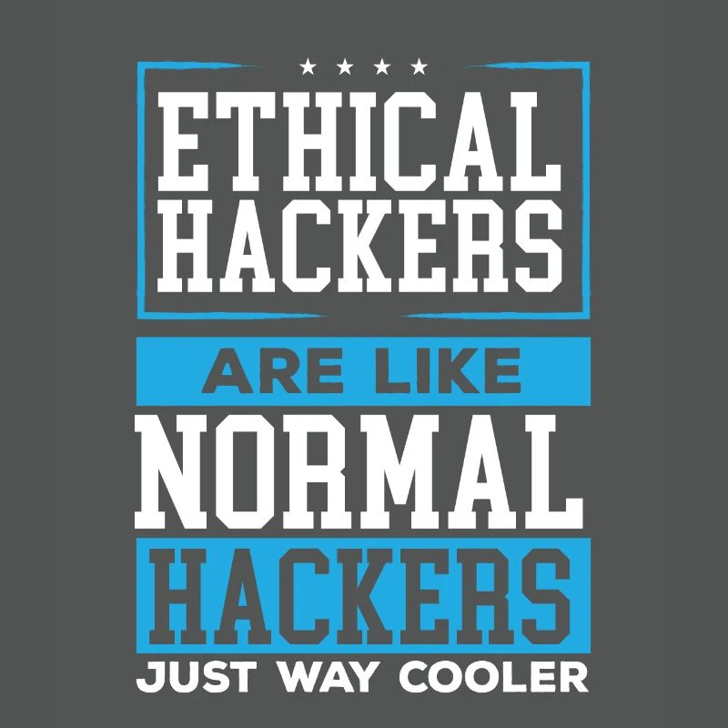 Ethical Hacking Programmer Online Cybersecurity
