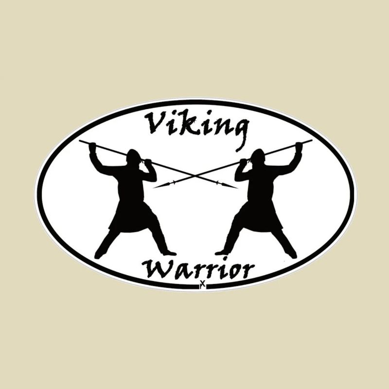 vikingwarrior