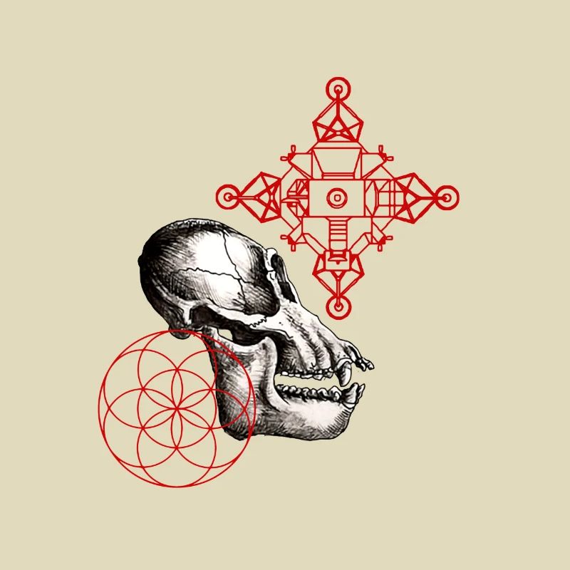 Mond-Australepithecus