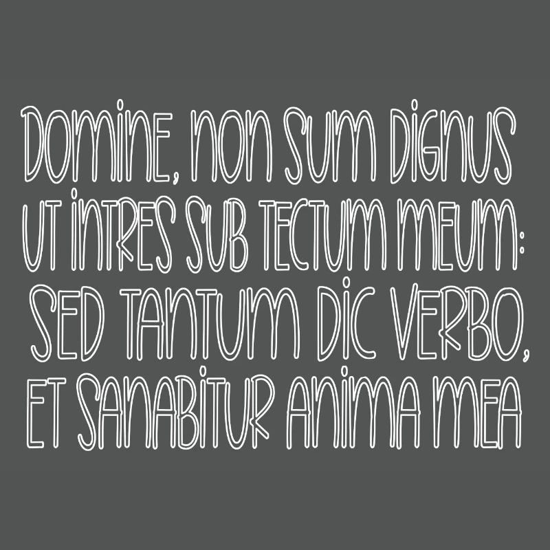 Domine, non sum dignus ,Seigneur je ne suis pas digne