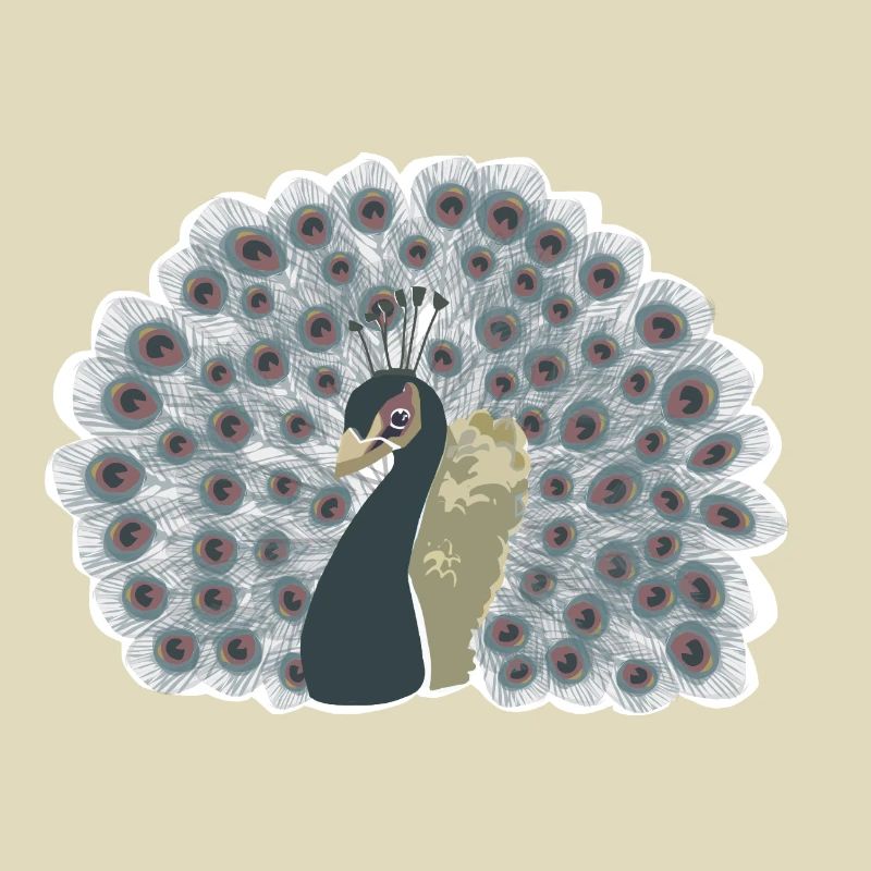Pfau mit Rad