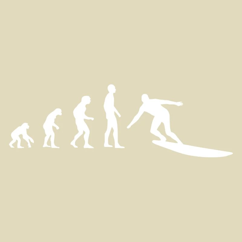 SURFER SURFEN EVOLUTION