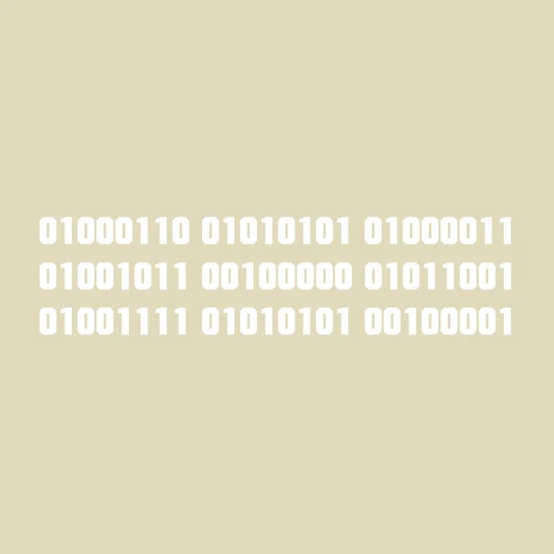 Fuck you binary code