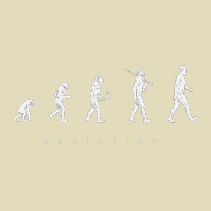 Human evolution