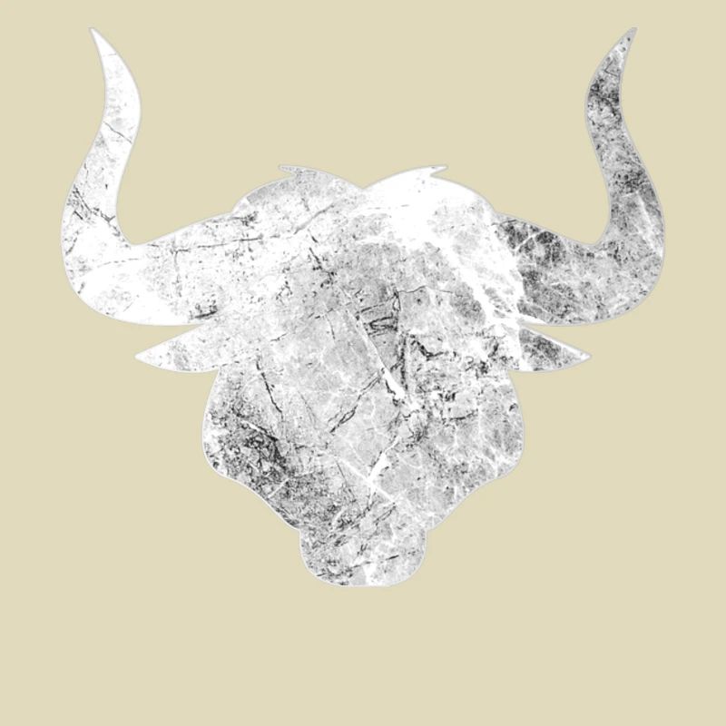 Stier